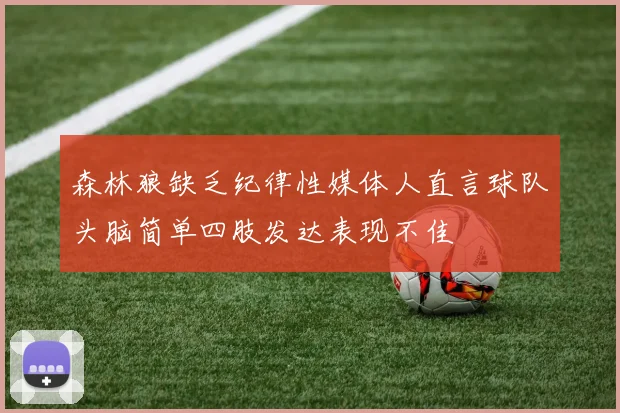 森林狼缺乏纪律性媒体人直言球队头脑简单四肢发达表现不佳