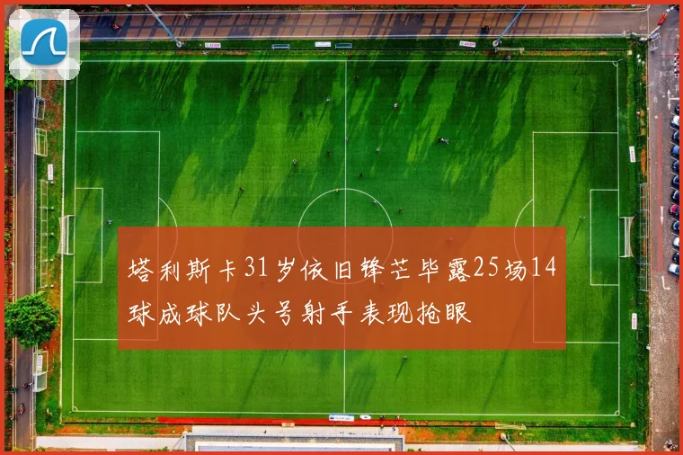 塔利斯卡31岁依旧锋芒毕露25场14球成球队头号射手表现抢眼