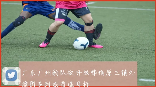广东广州豹队欲升级锋线原三镇外援图多列成首选目标